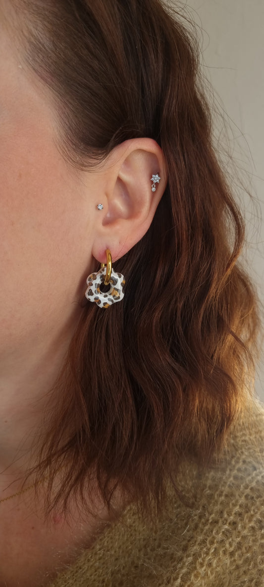 Pampilles Léopard 🐆